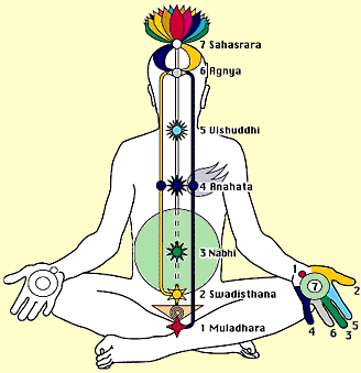 Seven main chakras in a subtle body diagram