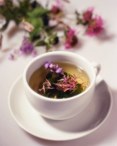 green tea, high in anti-oxidants, with some herbs